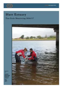 Hutt Estuary Fine Scale Monitoring 2016/17