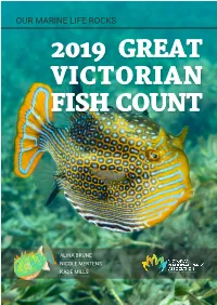 2019 Great Victorian Fish Count