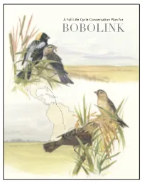 A Full Life Cycle Conservation Plan for Bobolink (Dolichonyx Oryzivorus)