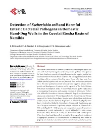 Detection of Escherichia Coli and Harmful Enteric Bacterial Pathogens in Domestic Hand-Dug Wells in the Cuvelai Etosha Basin of Namibia