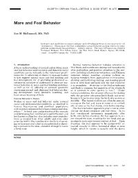 Mare and Foal Behavior