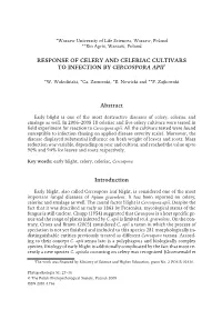 Response of Celery and Celeriac Cultivars to Infection by Cercospora Apii1