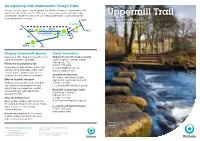Uppermill Trail Future Generations to Enjoy