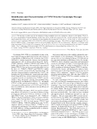 Identification and Characterization of CYP2C18 in the Cynomolgus Macaque (Macaca Fascicularis)