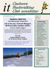It-Sample-Newsletter