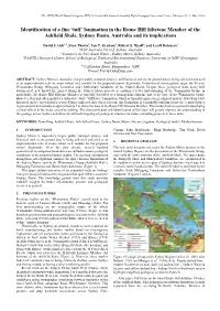 Lamination in the Rouse Hill Siltstone Member of the Ashfield Shale, Sydney Basin, Australia and Its Implications