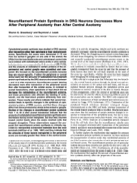 Neurofilament Protein Synthesis in DRG Neurons Decreases More After Peripheral Axotomy Than After Central Axotomy