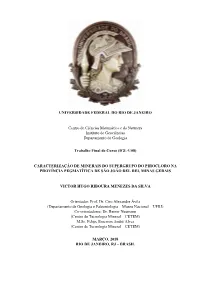 SILVA, V.H.R.M.Pdf