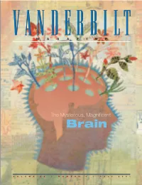 The Mysterious, Magnificent Brain