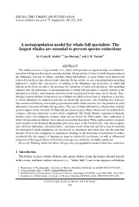 A Metapopulation Model for Whale-Fall Specialists: the Largest Whales Are Essential to Prevent Species Extinctions