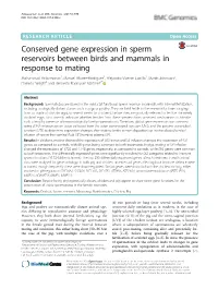 Conserved Gene Expression in Sperm Reservoirs Between Birds and Mammals in Response to Mating
