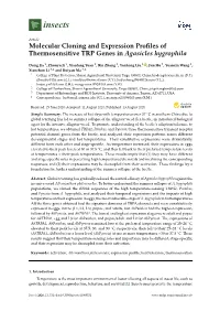 Molecular Cloning and Expression Profiles of Thermosensitive TRP Genes in Agasicles Hygrophila