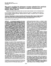 The Genes Encoding the Glutamate Receptor Subunits Kal And
