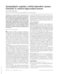 Synaptophysin Regulates Activity-Dependent Synapse Formation in Cultured Hippocampal Neurons