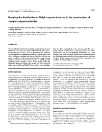 Mapping the Distribution of Golgi Enzymes Involved in the Construction of Complex Oligosaccharides