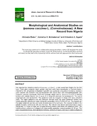 Morphological and Anatomical Studies on Ipomoea Coccinea L. (Convolvulaceae): a New Record from Nigeria