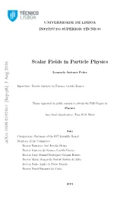 Scalar Fields in Particle Physics