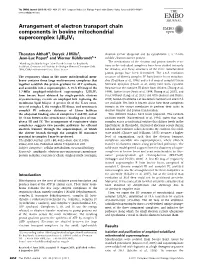 Arrangement of Electron Transport Chain Components in Bovine Mitochondrial Supercomplex I1III2IV1