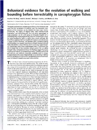 Behavioral Evidence for the Evolution of Walking and Bounding Before Terrestriality in Sarcopterygian Fishes