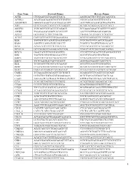 Gene Name Forward Primer Reverse Primer ACTB