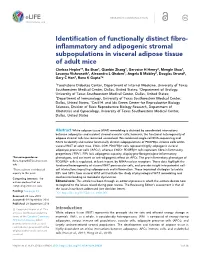 Inflammatory and Adipogenic Stromal Subpopulations in Visceral Adipose Tissue Of
