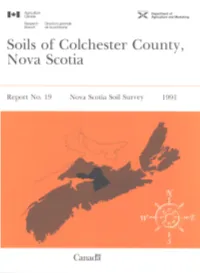 Ns19b Report.Pdf