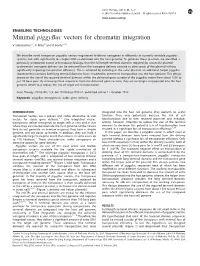 Minimal Piggybac Vectors for Chromatin Integration