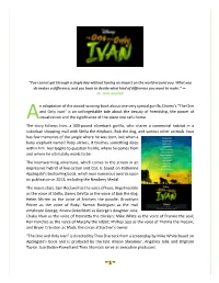 The One and Only Ivan” Is an Unforgettable Tale About the Beauty of Friendship, the Power of a Visualization and the Significance of the Place One Calls Home