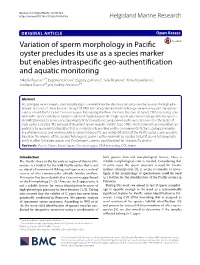 Variation of Sperm Morphology in Pacific Oyster Precludes Its Use As a Species Marker but Enables Intraspecific Geo-Authentifica