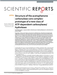 Structure of the Acetophenone Carboxylase Core Complex