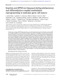 Imprints and DPPA3 Are Bypassed During Pluripotency- and Differentiation-Coupled Methylation Reprogramming in Testicular Germ Cell Tumors