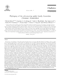 Phylogeny of the Orb‐Weaving Spider