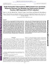 Snps) Distant from Xenobiotic Response Elements Can Modulate Aryl Hydrocarbon Receptor Function: SNP-Dependent CYP1A1 Induction S