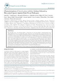 View with Observations on Aureobasidium Pullulans