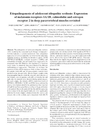 Expression of Melatonin Receptors 1A/1B, Calmodulin and Estrogen Receptor 2 in Deep Paravertebral Muscles Revisited