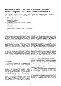 Scalable and Selective Β-Hydroxy-Α-Amino Acid Synthesis Catalyzed by Promiscuous L-Threonine Transaldolase Obih