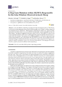 A Stop-Gain Mutation Within MLPH Is Responsible for the Lilac Dilution Observed in Jacob Sheep