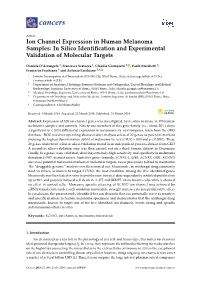 Ion Channel Expression in Human Melanoma Samples: in Silico Identiﬁcation and Experimental Validation of Molecular Targets