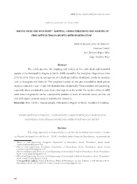 Mapping, Characterization and Analysis of Fires with Victims in Recife’S Metropolitan Zone