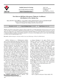 New Data on Aplidium Tabarquense (Tunicata: Ascidiacea) Distribution in the Adriatic Sea