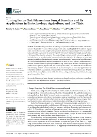 Turning Inside Out: Filamentous Fungal Secretion and Its Applications in Biotechnology, Agriculture, and the Clinic