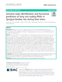Genome-Wide Identification and Functional Prediction of Long Non