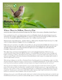 Nature Notes from Kankakee Sands