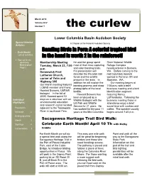 The Curlew Page 1 of 8