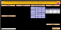 The Importance of Norbuprenorphine Cross Reactivity In