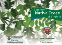 Common Native Trees of Virginia, Virginia Department of Forestry