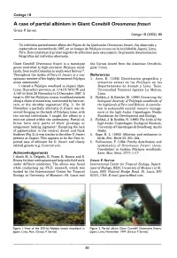 A Case of Partial Albinism in Giant Conebill Oreomanes Fraseri