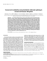 Conserved Modularity and Potential for Alternate Splicing in Mouse and Human Slit Genes