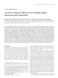 A Role for Atypical Cadherincelsr3in Hippocampal Maturation And
