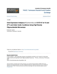 Gene Expression Analysis of Escherichia Coli O157:H7 at 10 and 37°C and Under Acidic Conditions Using High Density Oligonucleotide Microarrays